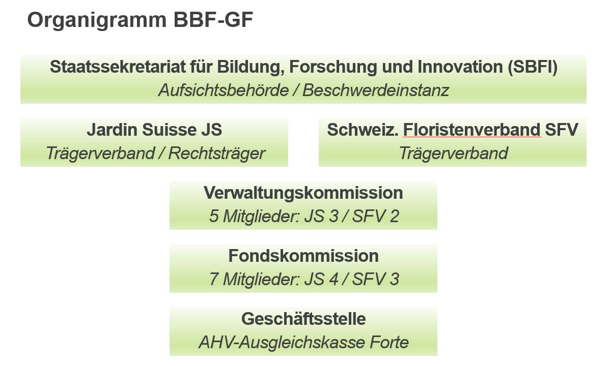 organigramm-bbfgf